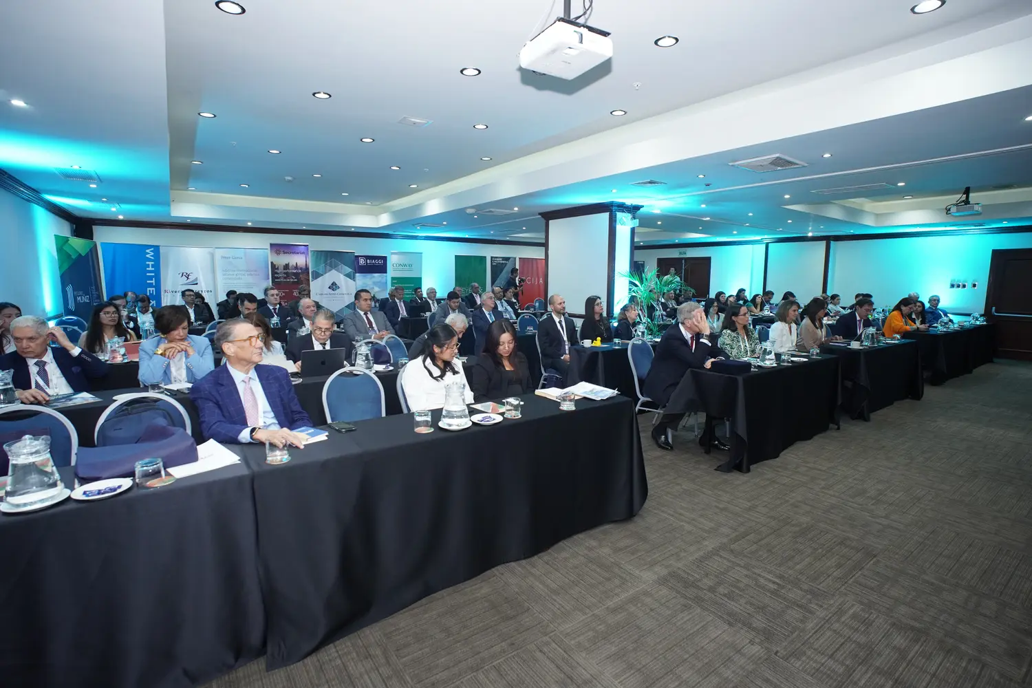 Sala principal del XX Congreso IPA