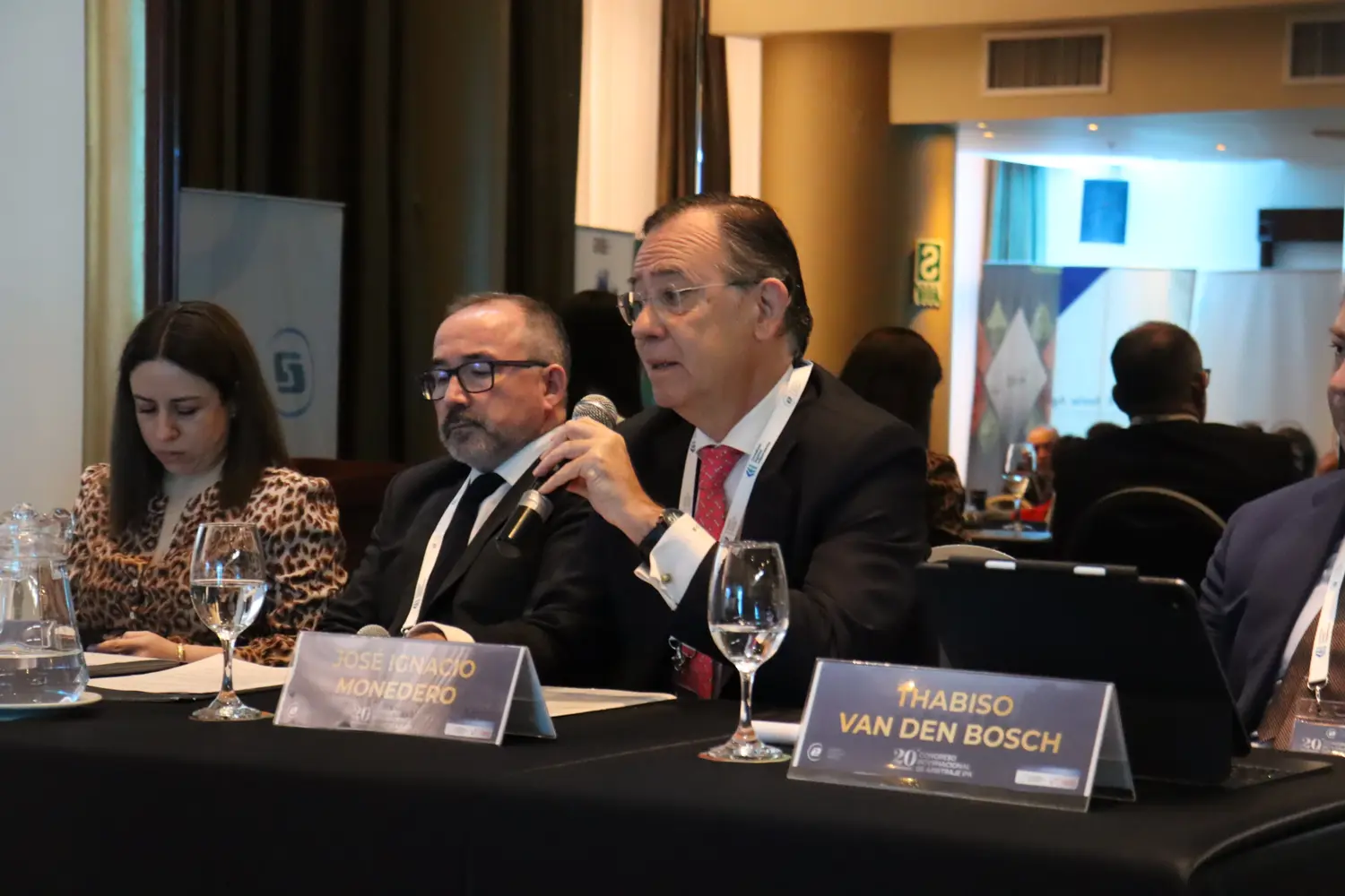 Panel en desarrollo
